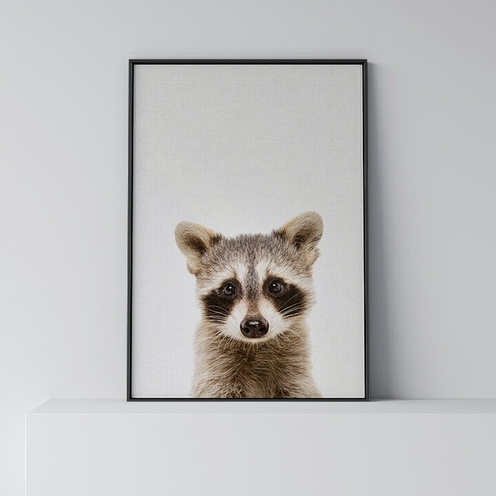 乐天商城 - ポスター 北欧 おしゃれ インテリア アート アートパネル 【 Raccoon 】 アライグマ 動物 アニマル モダン シンプル フレーム付き A0 A1 B1 A2 B2 A3 B3