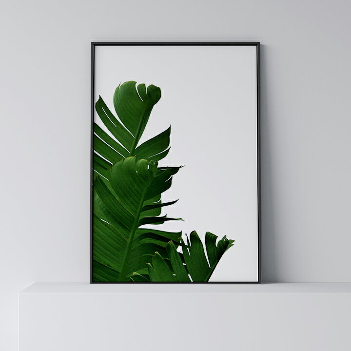 ポスター 北欧 おしゃれ インテリア アート アートパネル 【 Banana Leaf 1 】 リーフ 葉 植物 バナナ 緑 グリーン 葉っぱ モダン シンプル フレーム付き A0 A1 B1 A2 B2 A3 B3