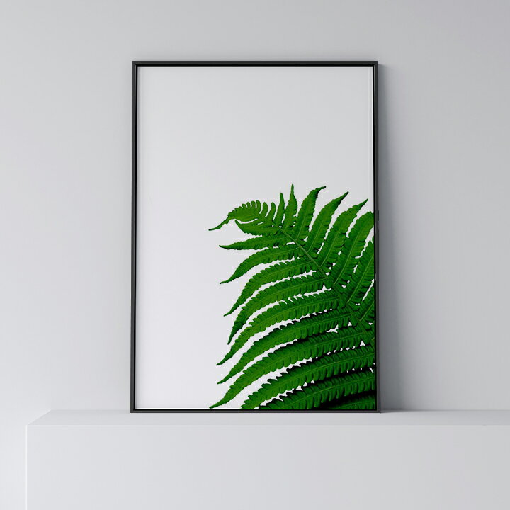 ポスター 北欧 おしゃれ インテリア A1 B1 アート アートパネル 【 Fern Leaf 】 リーフ 葉 植物 緑 モダン シンプル フレーム付き A0 A1 B1 A2 B2 A3 B3
