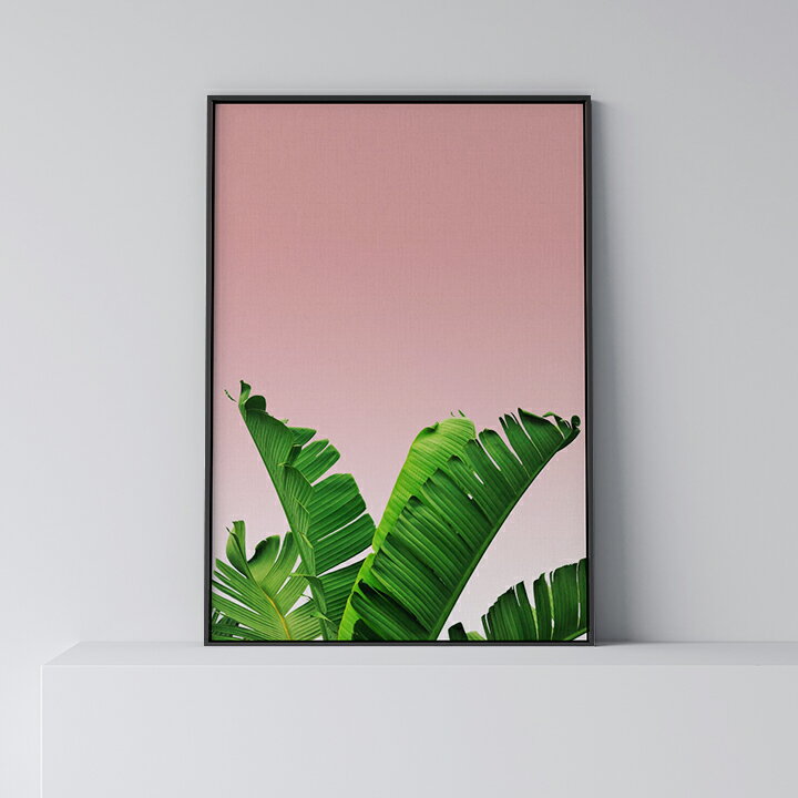 乐天商城 - ポスター 北欧 おしゃれ インテリア アート アートパネル 【 Banana Leaf 3 pink 】 リーフ 葉 植物 バナナ 緑 グリーン 葉っぱ モダン シンプル フレーム付き A0 A1 B1 A2 B2 A3 B3