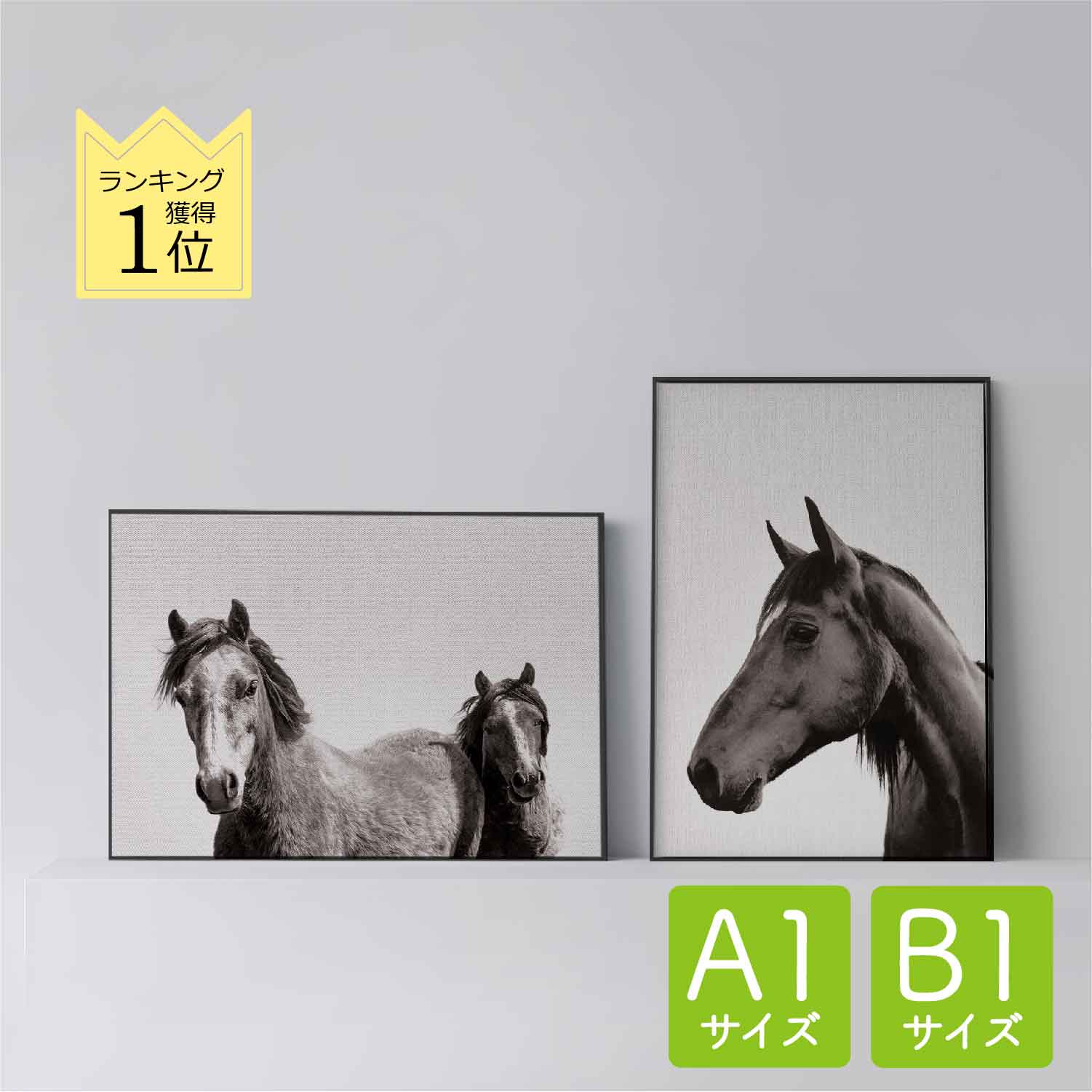 ݥ ̲  ƥꥢ A1 B1  ȥѥͥ  2 horses ۡ Horse BW   ưʪ ˥ޥ...
