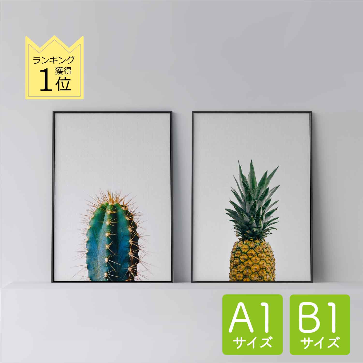 ݥ ̲  ƥꥢ A1 B1  ȥѥͥ  Cactus 1 ۡ Pineapple  ܥƥ ʪ ...