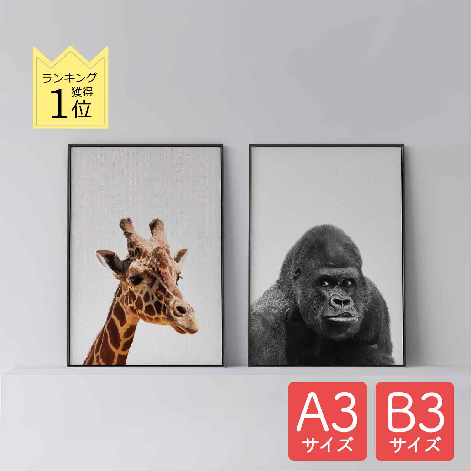 ݥ ̲  ƥꥢ A3 B3  ȥѥͥ  Giraffe ۡ Gorilla   ưʪ  ...