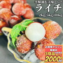 【3商品購入で2000円OFF】 冷凍 ライチ 2kg/5kg/10kg【冷凍品】 業務用 中国原料 送料無料 レイシ トロピカルフルーツ 南国フルーツ ギフト...