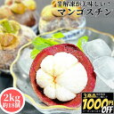 【3商品購入で1000円OFF】 タイ産冷凍 マンゴスチン 2kg【冷凍品】 南国フルーツ トロピカルフルーツ