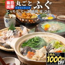 丸ごと一尾 とらふぐ 【冷凍品】 ふぐ 河豚 ふぐ鍋 ふぐちり てっちり 河豚鍋 てっさ ふぐちり鍋 送料無料 業務用 中国原料国内加工 冷凍 鍋 唐揚げ ふぐ刺し ふぐ刺身 正月 身欠き みがき ふぐみがき とらふぐ身欠き