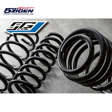 送料無料（一部離島除く） 5ZIGEN ゴジゲン 5G-COIL アップサス ミツビシ デリカD:5 CV5W 5GMU010