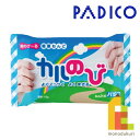 【ネコポス可】パジコ　PADICO　のび～る軽量粘土　カルのび