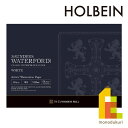 ホルベイン ウォーターフォード水彩紙 ホワイト ブロック 300g 荒目 EHBR-F4