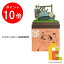 【毎月1日限定!全品ポイント10倍+最大400円OFFクーポン】さんけい みにちゅあーとキット nonscale スタジオジブリmini 平成狸合戦ぽんぽこ 【化け学特訓】 MP07-27 2,050円