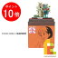 【毎月1日限定!全品ポイント10倍+最大400円OFFクーポン】さんけい みにちゅあーとキット nonscale スタジオジブリmini 耳をすませば 【〜バロン〜】 MP07-51 2,050円