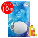 【お買い物マラソン限定!エントリーで全品ポイント10倍】パジコ (PADICO) UV-LED ハンディライト3