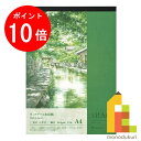 【お買い物マラソン限定！エントリーで全品ポイント10倍】【ネコポス対応可】マルマン ヴィフアールパッド　A4中目　S204VA