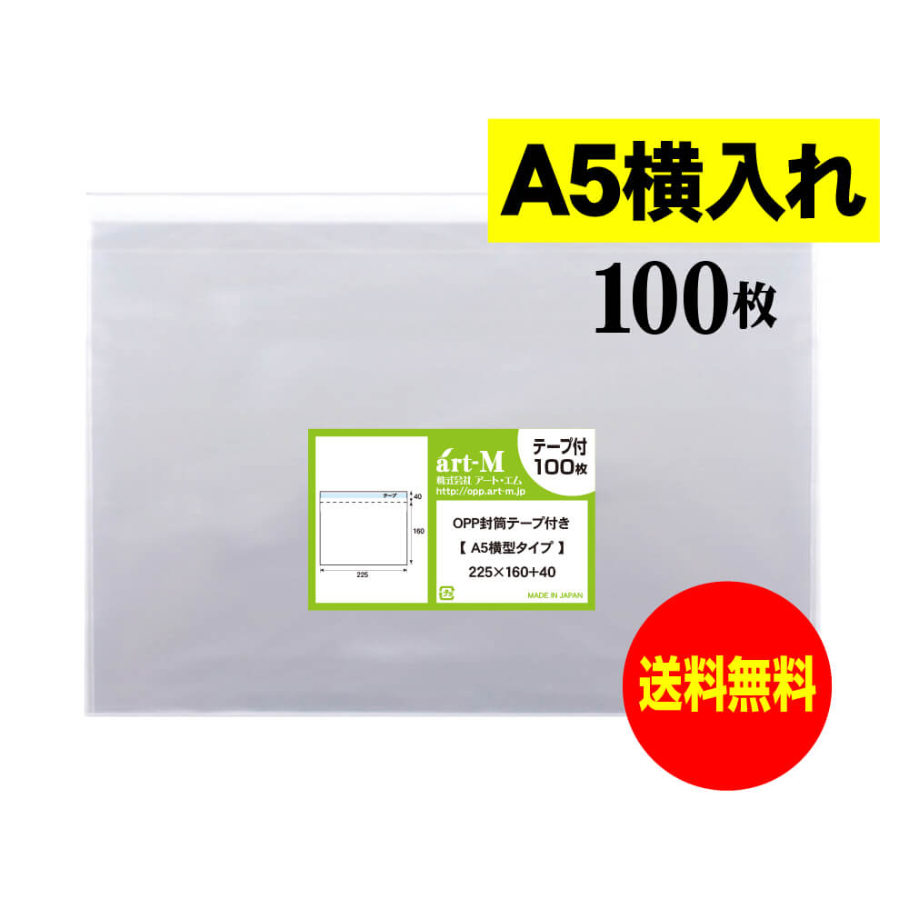 ̵ 񻺡ۥơ A5 ס A5ѻ桿DM ƩOPPޡƩˡ10030ߥɸ225x160+40mm