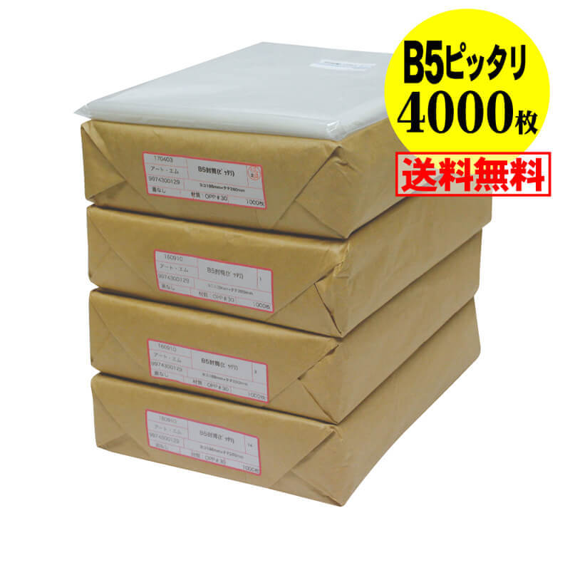 ̵  ԥåꥵۥơפʤ B5  B5ѻ12  ƩOPPޡƩˡ4000 30ߥɸ188x260m...