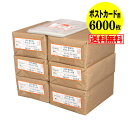 【 送料無料 国産 】 テープなし【ぴったりサイズ】 ポストカード用 透明OPP袋(透明封筒) 【6000枚】 30ミクロン厚(標準) 110x160mm