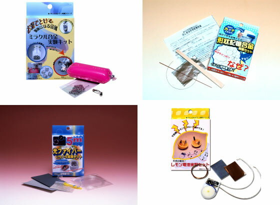 �Ի׵ġ��ʳؼ¸����å�4�����å�