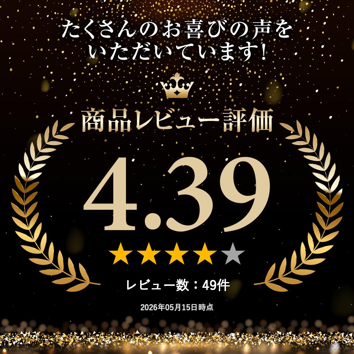 MOONSTAR ムーンスター MS ADV0...の紹介画像2