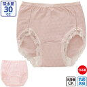 介護 下着 女性用 ショーツ 安心快適 30cc (cf800313) 吸水パンツ 失禁 ケアショーツ 婦人 介護肌着 ak19 25s