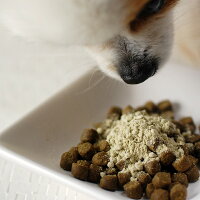 涙やけ犬サプリメント/シーポランマックス60g/トイプードルアレルギー老犬子犬猫に/酵素プロポリス入り/シーポランMAX帝塚山5P13oct13_b【RCP】犬の薬サプリペットグッズペットのサプリ犬のサプリメント対策涙焼けエサ粉栄養補助子犬用無添加シニア