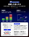 イルミネーション ライト LED クリスマス ストレート 100球 10m 防雨 連結可 記憶 コントローラ付 ledライト 省エネ ハロウィン パーティー 防滴 間接照明 店舗照明 自宅 屋外 家 3