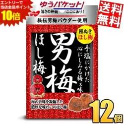 SS期間中はエントリーで当店全品ポイント10倍!ゆうパケット送料無料 ノーベル 男梅ほし梅 20g×12袋(6袋×2ボール) 干し梅 うめ