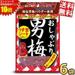 SS期間中はエントリーで当店全品ポイント10倍!ゆうパケット送料無料 ノーベル おしゃぶり男梅 薄型シート 10g×6袋入 うめ