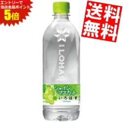 大感謝祭期間中はエントリーで全品ポイント5倍!!期間限定特価【送料無料】 コカ・コーラ い・ろ・は・す シャインマスカット 540mlペットボトル 48本(24本×2ケース) いろはす マスカット コカコーラ ※北海道800円・東北400円の別途送料加算