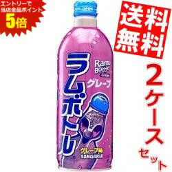 スーパーセール期間はエントリーでポイント5倍!!【送料無料】サンガリアグレープラムボトル500gボトル..