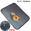 【新商品】 RAITOS ペット用おしっこマット 70x100cm トイレシート マット ペット 下敷き 洗える 繰り返し利用可能 4層構造 瞬間吸水 速乾 消...