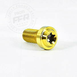 PROTI 64チタン INDIAN FTR 1200 リアフレーム用セット 8PCS