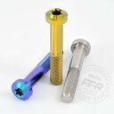 PROTI 64チタン BMW S1000R フロントキャリパー用 4PCS(2)