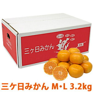 ［三ケ日みかん 青島 送料無料］【静岡県産 三ヶ日みかん MまたはLサイズ 3.2kg 】ミカン お歳暮 お年賀 贈答品 ギフト 贈り物 (早生 /青島) 蜜柑 温州みかん 三ヶ日町