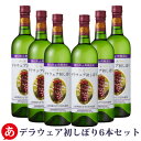 ［あす楽］蒼龍葡萄酒［無添加デラ