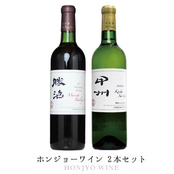 日本ワイン 送料無料 岩崎醸造【ホンジョーワイン 2本セット】（720ml×2本）ワインセット 甲州ワイン 赤ワイン 白ワイン 国産 山梨 贈答 贈り物 手土産 ワイン Japanese wine