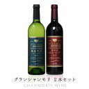 日本ワイン 送料無料 盛田甲州ワイナリー【グラン・シャンモリ 2本セット】（750ml×2本）ワインセット 甲州ワイン 赤ワイン 白ワイン 勝沼甲州シュールリー / 樽熟成保坂マスカットベリーA 国産 Japanese wine