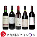 送料無料【品種別・赤ワイン 5本セット】ワインセット 赤ワイ