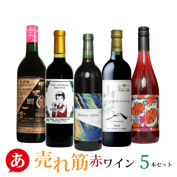 日本ワイン セット【過去3か月 売れ筋・赤ワイン5本セット】送料無料 赤ワイン 山梨ワイン 国産 盛田甲州 矢作 原茂 塩山 三養 ワイン Japanese wine