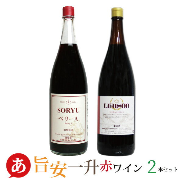 日本ワイン セット(1800ml×2) 送料無料 一升瓶ワイン 赤ワイン 国産 山梨ワイン 大容量 蒼龍葡萄酒 日川中央葡萄酒 ワイン Japanese wine