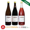 日本ワイン 日川中央葡萄酒【リエゾン一升瓶ワイン旨安3本セット(1800ml×3本) 】送料無料 ワインセット 一升瓶ワイン 甲州ワイン 赤ワイン 白ワイン ロゼワイン 国産 山梨 マスカットベーリーA 大容量 ワイン Japanese wine