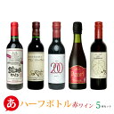 【ハーフボトル】日本ワイン セット【 赤ワイン飲み比べ 5本セット 360ml・375ml】送料無料 赤ワイン 国産 山梨ワイン 錦城 蒼龍 湯浅 ルミエール まるき Japanese wine