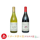 mynh[kxmv`i2{Zbg 750ml~2n C ԃC h ~fBA{fB R Y {C Japanese wine