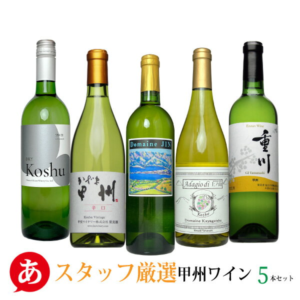 日本ワイン セット送料無料 白ワイン 山梨ワイン 国産 酒折 甲斐 ジン 茅ヶ岳 塩山 Japanese wine