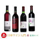 日本ワイン セット【日本ワイン入門 赤ワイン4本セット】送料無料 マスカット・ベーリーA他 赤ワイン 国産 山梨 長野 くらむぼん まるき 日川中央 たかやしろ...