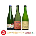 日本ワイン セット【長野の林檎シードル売れ筋3本セット】送料無料 りんごのお酒 スパークリング 国産 長野ワイン アルカンヴィーニュ リュードヴァン はすみふぁーむ japanese wine