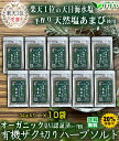 業務パック 10個 34g 有機ハーブソルト 天然塩あまび 国産 海水塩 日本 生活習慣と戦う店ササヤ 送料無料 yys