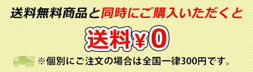 ギフト ラッピング(大) 大きい Lサイズ 約104×46.5cm 大型 記念日 贈り物 誕生日 プレゼント 包装 袋 巾着 バッグ ナイロン 簡単ラッピング リボン 赤 スケートボード 袋