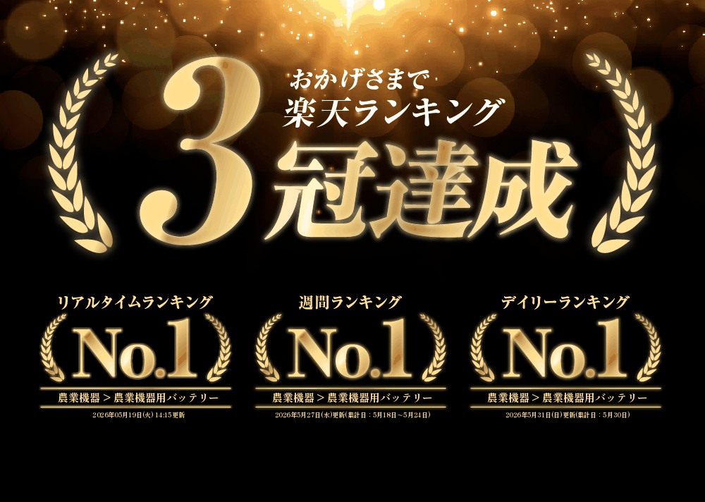 アルミス バッテリー 電動車両用 DS24-BT （ 電動猫吉 3輪 4輪、 電動平台車 、 ハ...