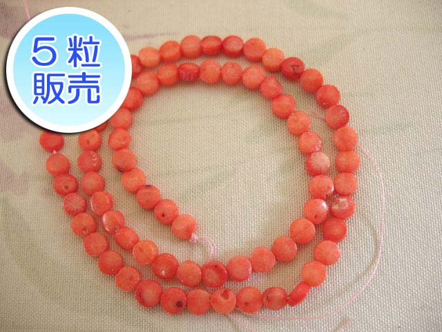 ����ӡ��� ��5mm ��5γ����� ���ݷ� coral �ѥ���ȡ��� ���������꡼�ѡ��� �ϥ�ɥᥤ��