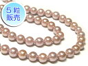 シェルパール パープル ラウンド 約4mm 【5粒販売】 真珠 ビーズ 天然石 貝パール 貝殻 アクセサリーパーツ ハンドメイド DIY